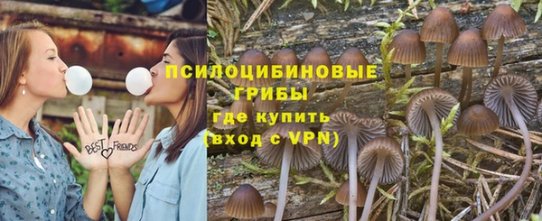 сатива Бугульма