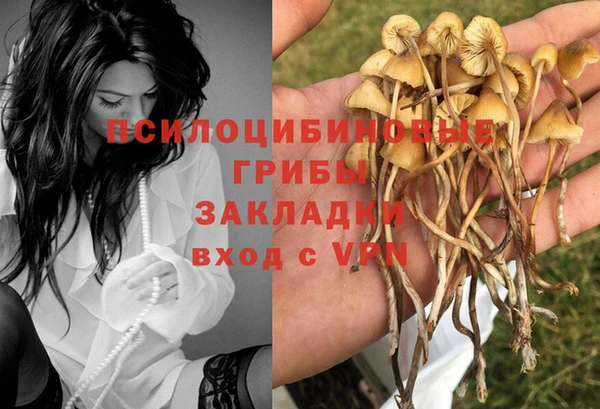 твердый Бронницы